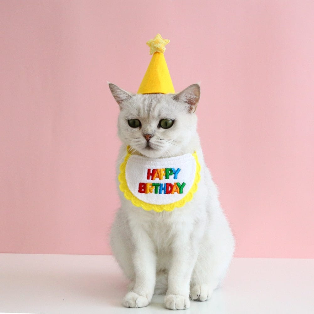 Pet cat's birthday scarf and hat
