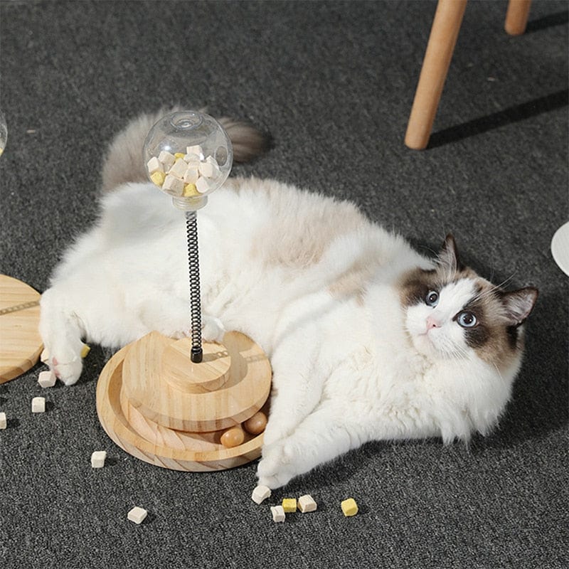 Cat feeder with interactive swing play