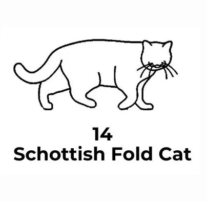 Black and white line drawing of a Schottish Fold cat with the number 14 below it on a white background.