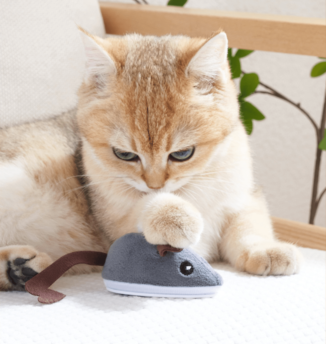 Interactive smart mouse toy for felines