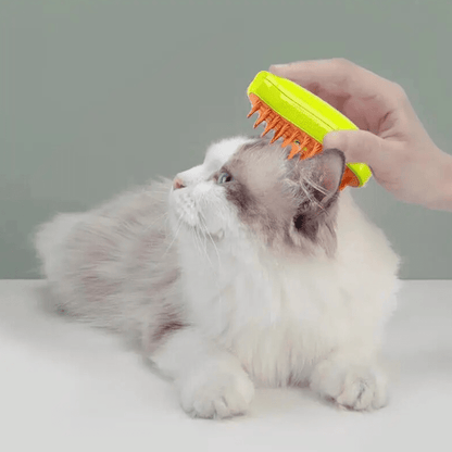 brush dog hair
