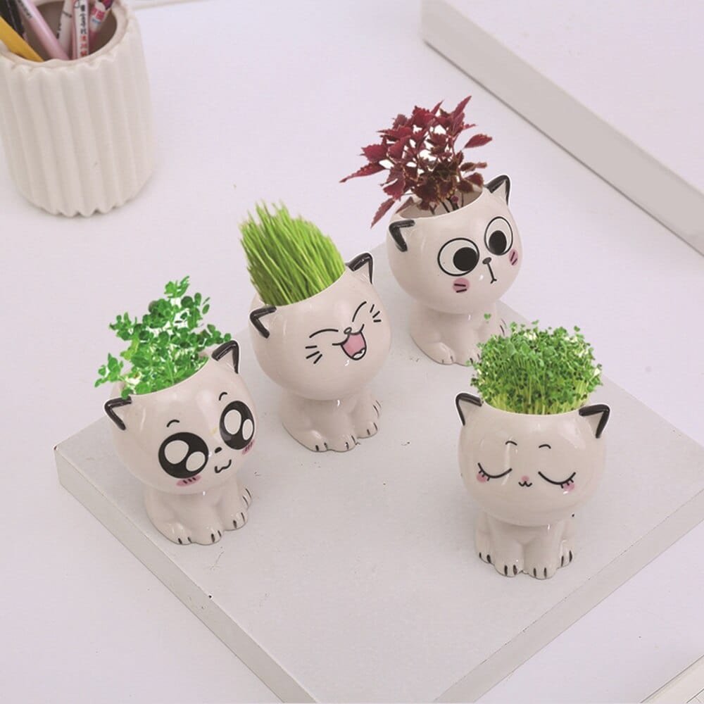 Cute head-shaped ceramic mini plant containers