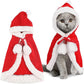 Cat Santa Cape for Christmas