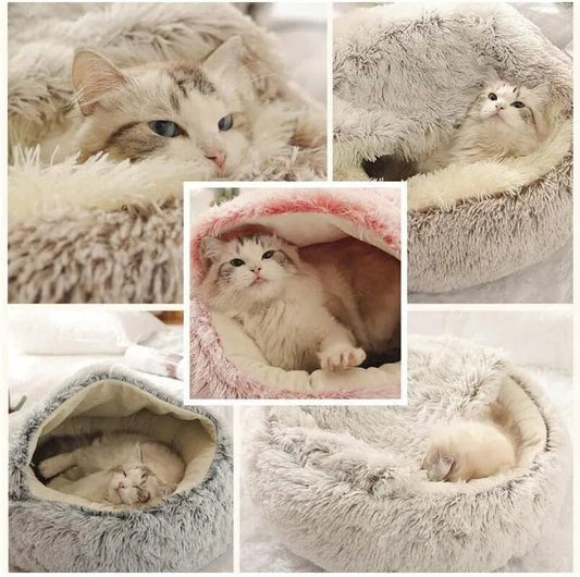 whote cat bed