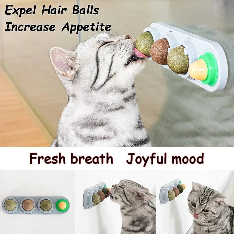 Four Catnip Ball Wall Toys