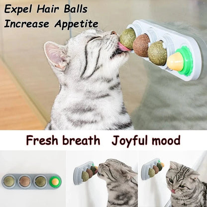 Four Catnip Ball Wall Toys