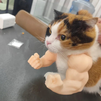 Hilarious Hulk Muscle Cat Arms