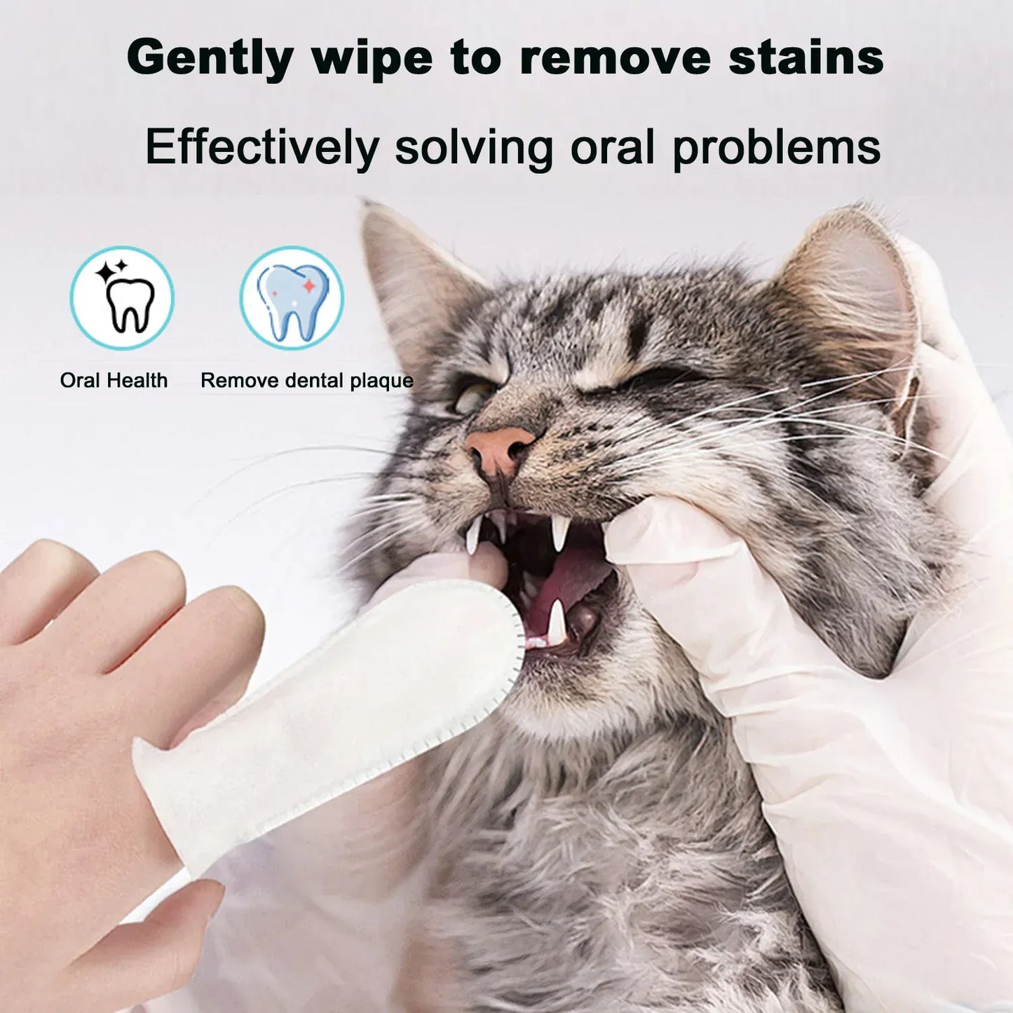 Cat Finger Teeth Dental Wipes