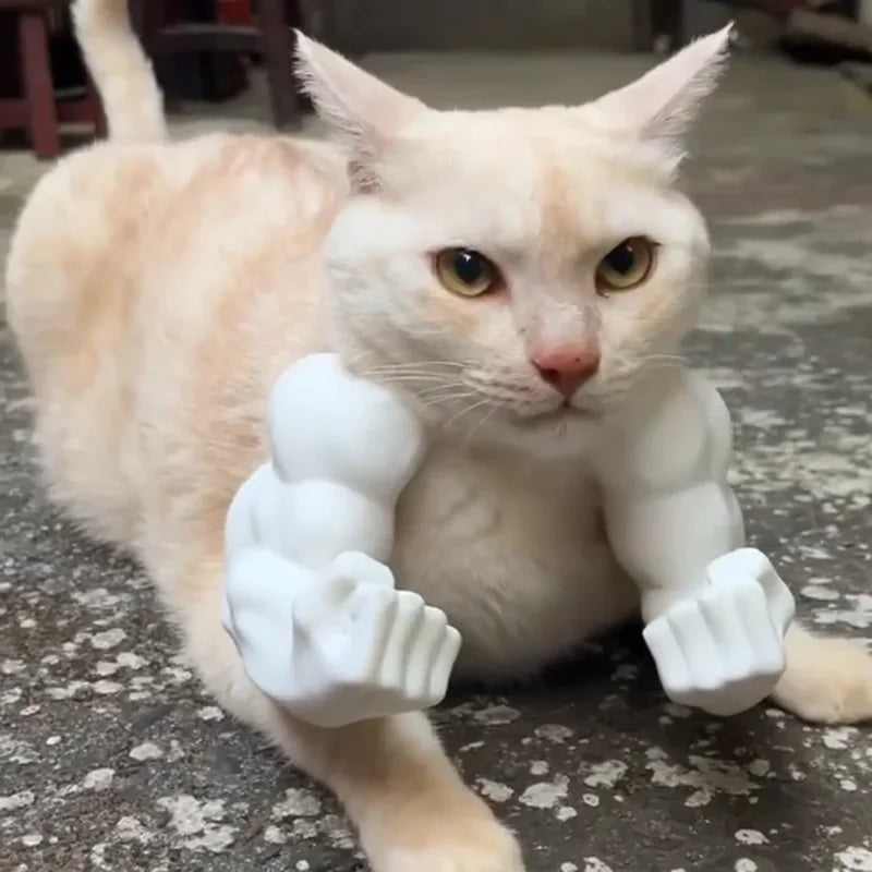 Hilarious Hulk Muscle Cat Arms