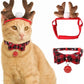 Cat Reindeer & Collar for Christmas