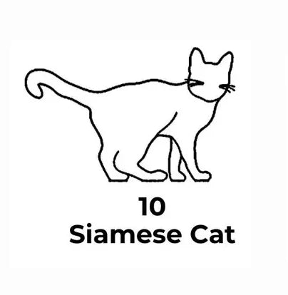 Black line drawing of a Siamese cat with the number 10 below on a white background