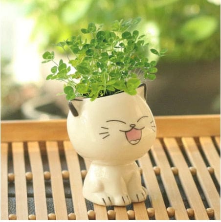 Smiling Cat Ceramic Succulent Pot
