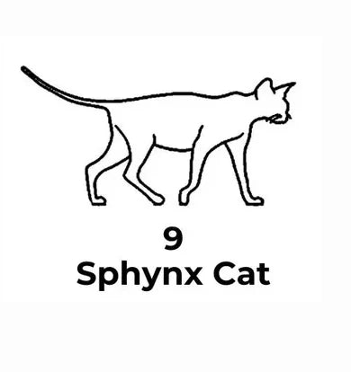 Black line drawing of a Sphynx cat with the number 9 below on a white background