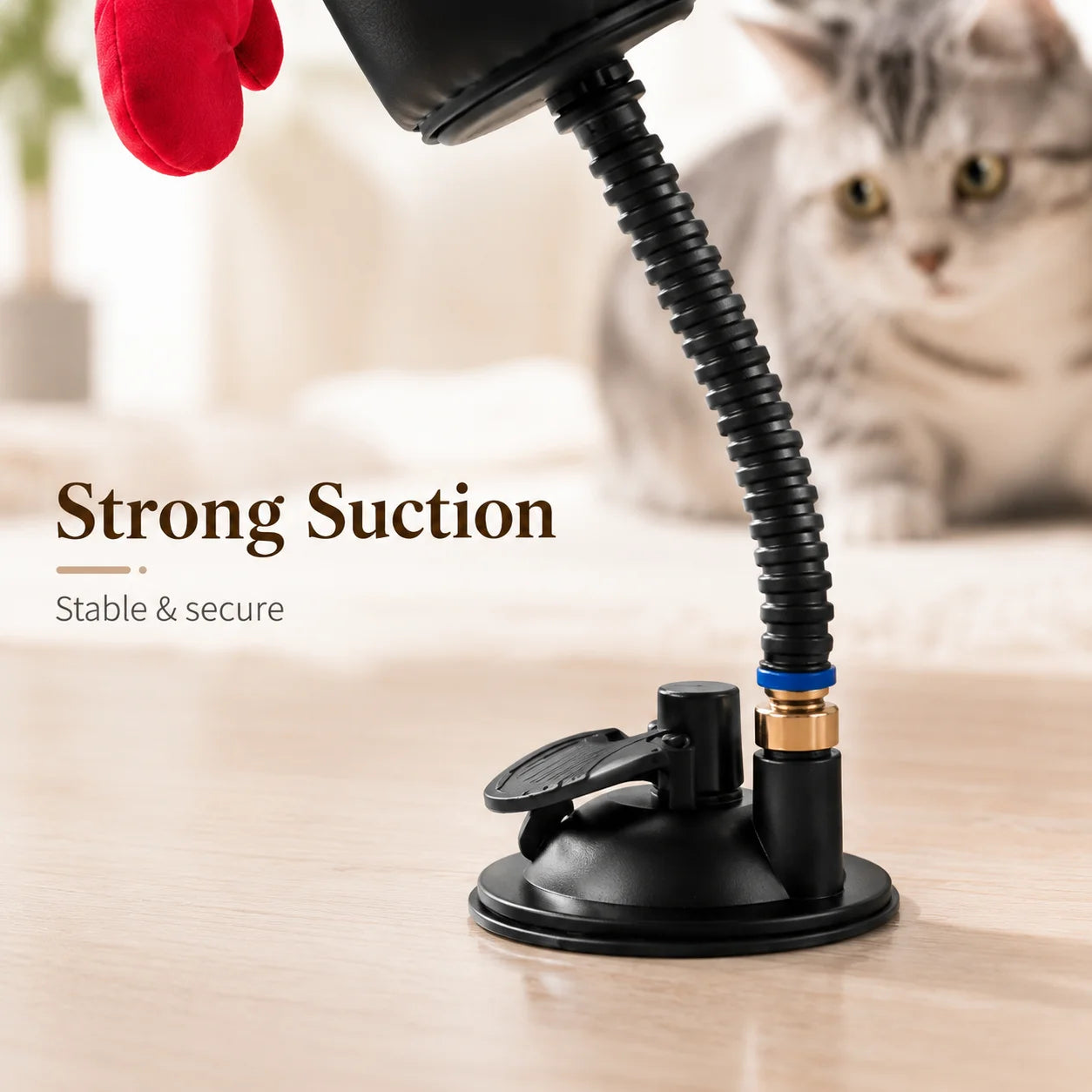 Cat toy with strong suction cup on a wooden surface, cat in the background
