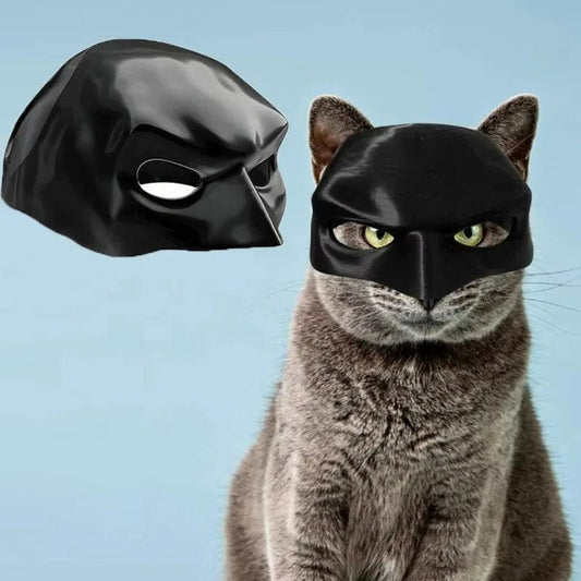 Superhero cat mask on grey cat