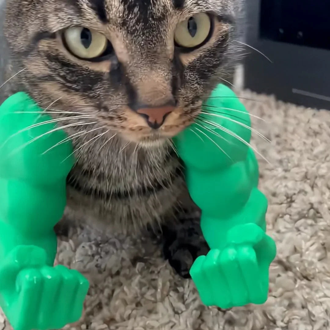 Cat playing with a green toy on a carpeted floor