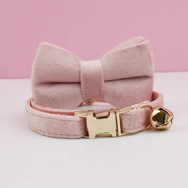 Monogrammed velvet cat collars with bow detail