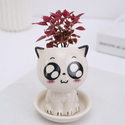 Wide-Eye Cat Ceramic Planter with Red Plant