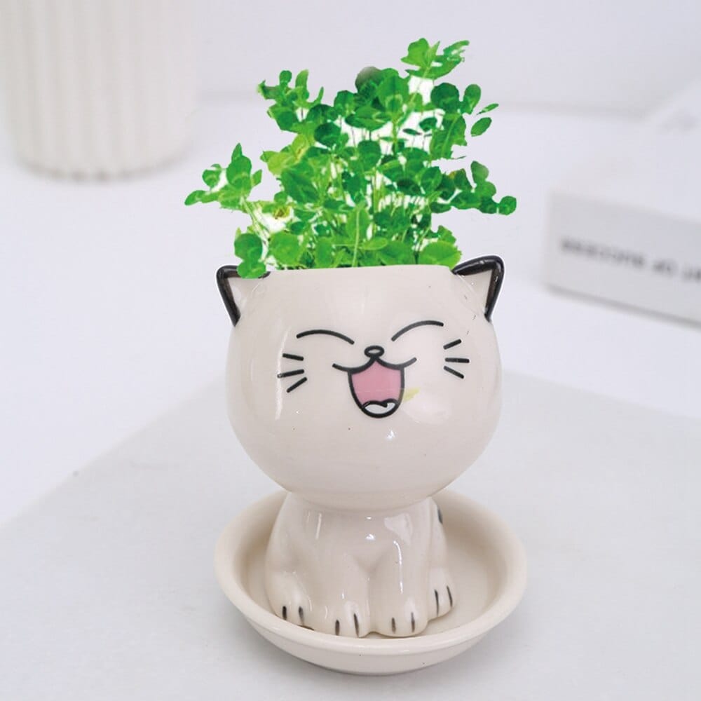 Charming planters with ceramic mini head motifs