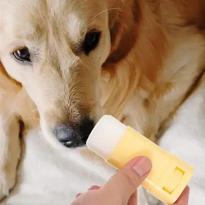 all-season cat paw balm for moisturizing and healing