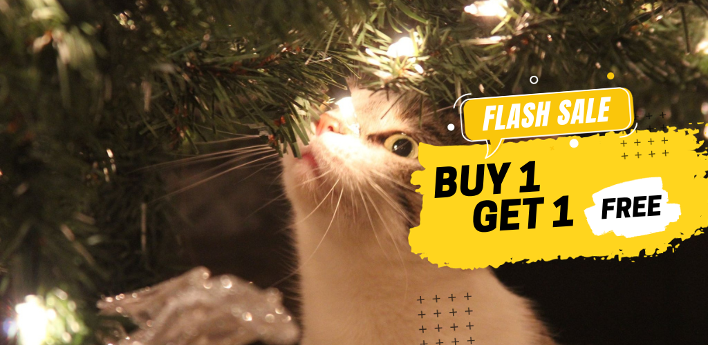 Buy one get one free cat products 