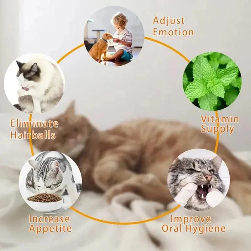 Diagram showing benefits of using catnip with images of cats and people interacting with pets.