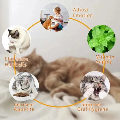 Diagram showing benefits of using catnip with images of cats and people interacting with pets.