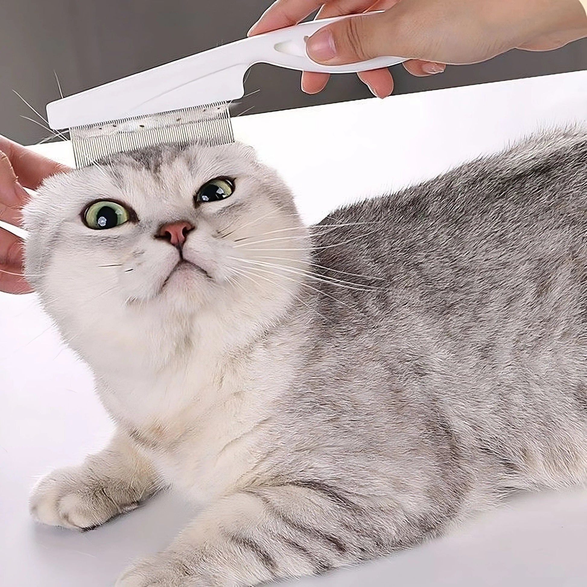 best cat flea comb for sensitive skin and gentle grooming


