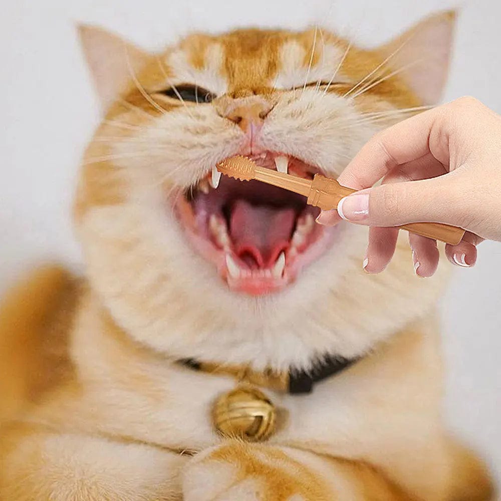 best cat toothbrush kit for plaque removal
