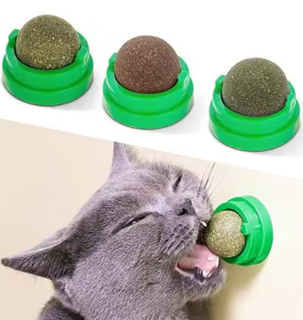 Catnip Ball Toy