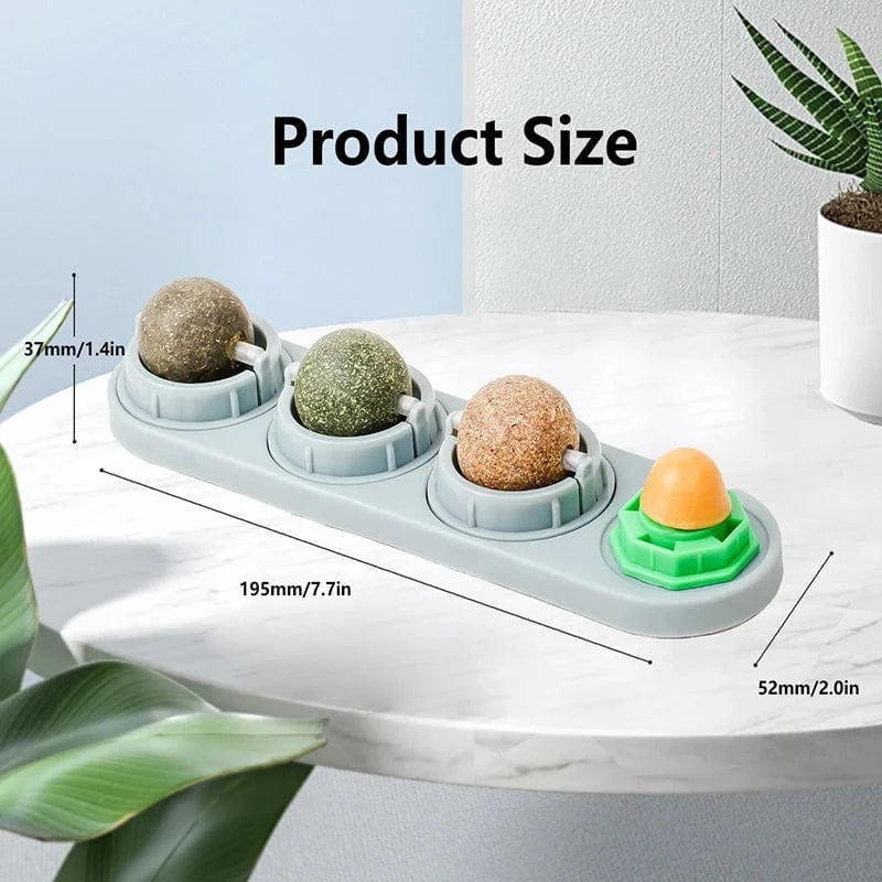 Product size measurement chart with a small round object and green plant on a marble surface.