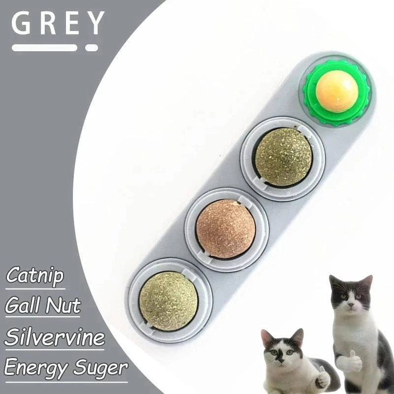 Pet toy with three balls labeled 'Catnip', 'Gall Nut', and 'Silvervine' on a gray background.