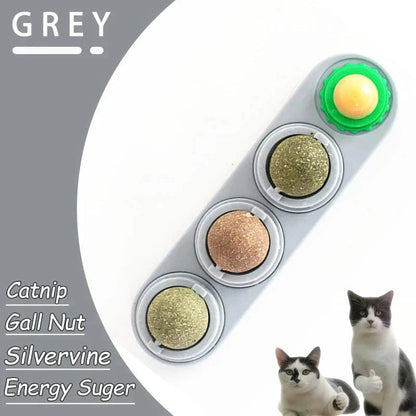 Pet toy with three balls labeled 'Catnip', 'Gall Nut', and 'Silvervine' on a gray background.