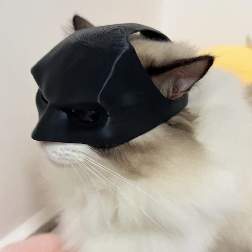 cat superhero mask ear view