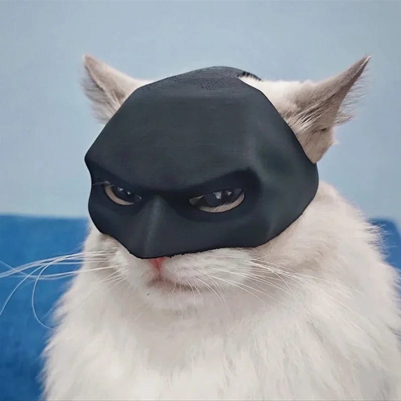 cat superhero mask on white cat