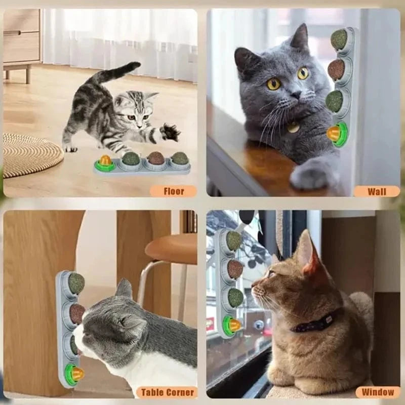 Collage of cats interacting with a pet door in different positions.