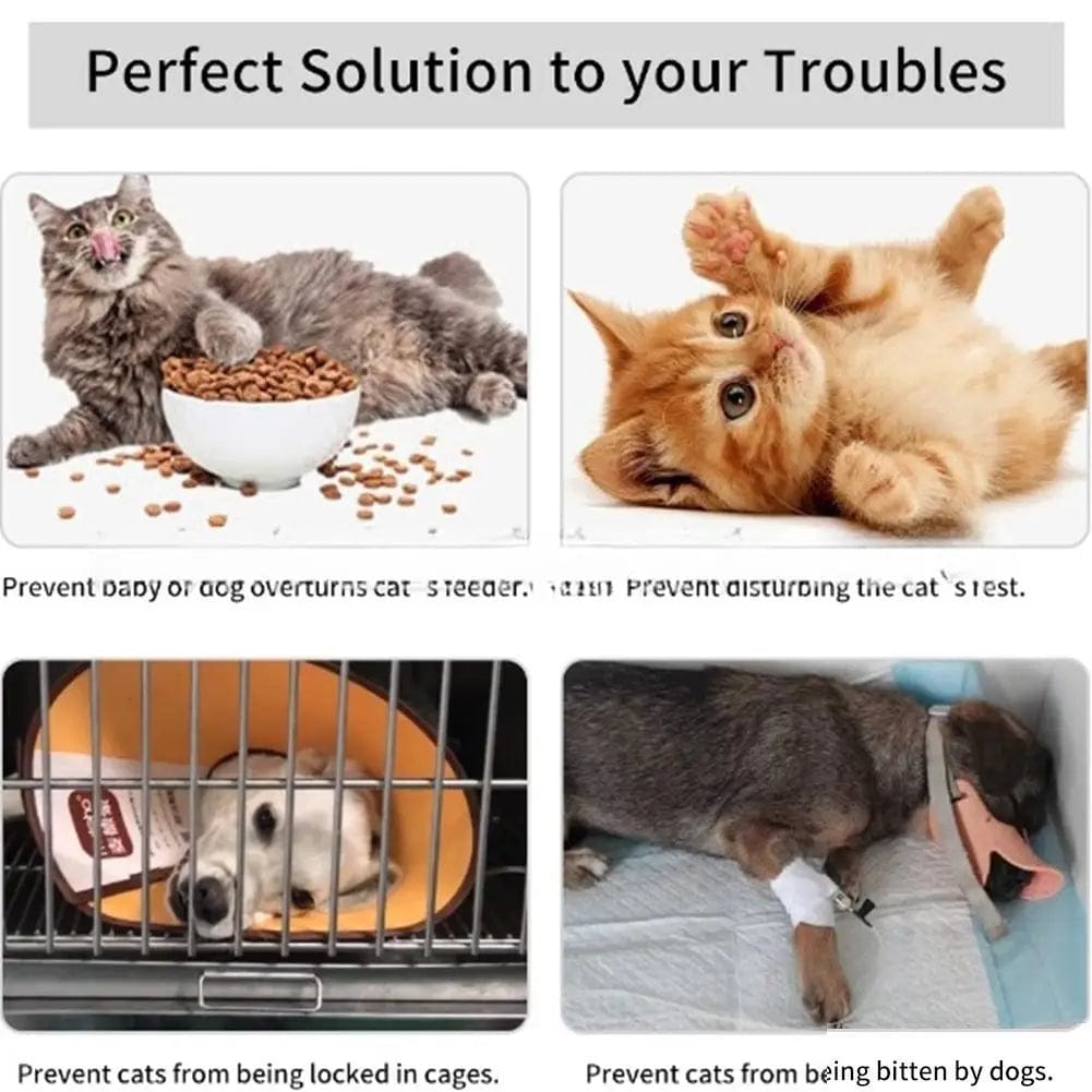 fish-shaped cat door holder to block larger pets