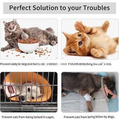 fish-shaped cat door holder to block larger pets