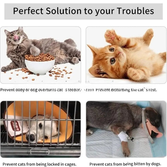 fish-shaped cat door holder to block larger pets