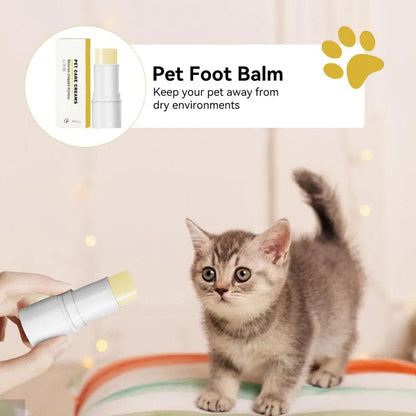 kitten with pet ointment 