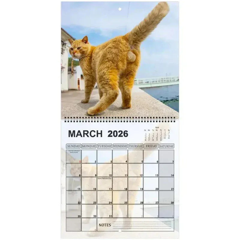Calendar for March 2026 featuring a cat on a cover with a scenic background.