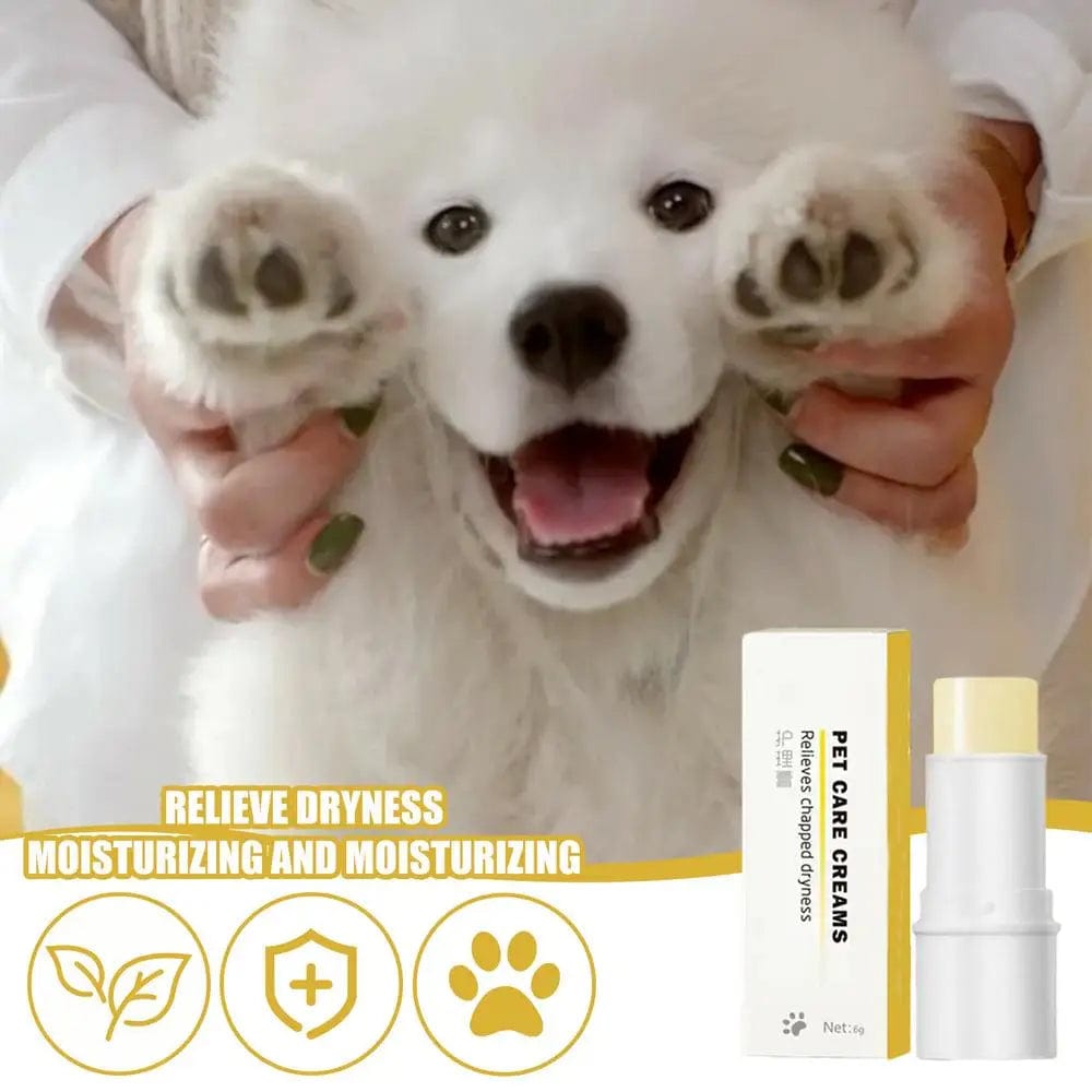ointment with a dog