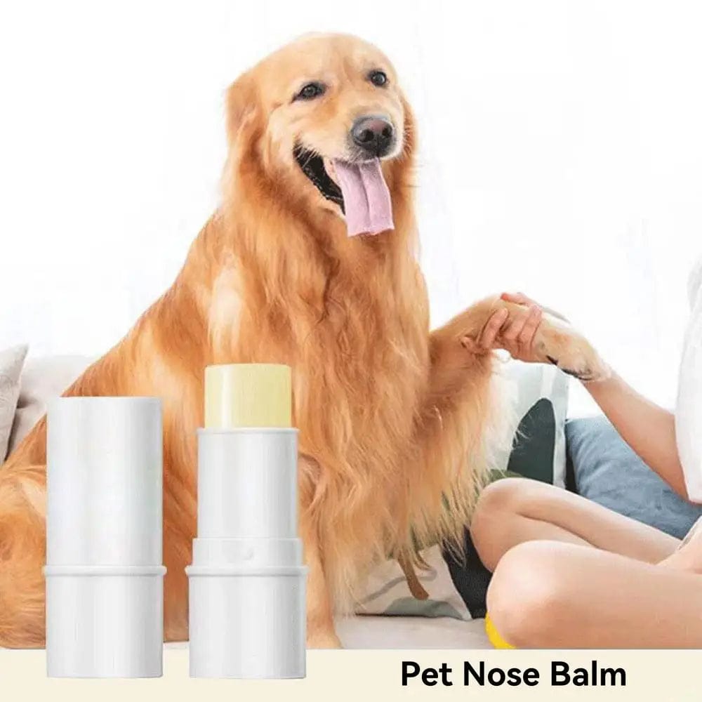 pet nose balm with dog 