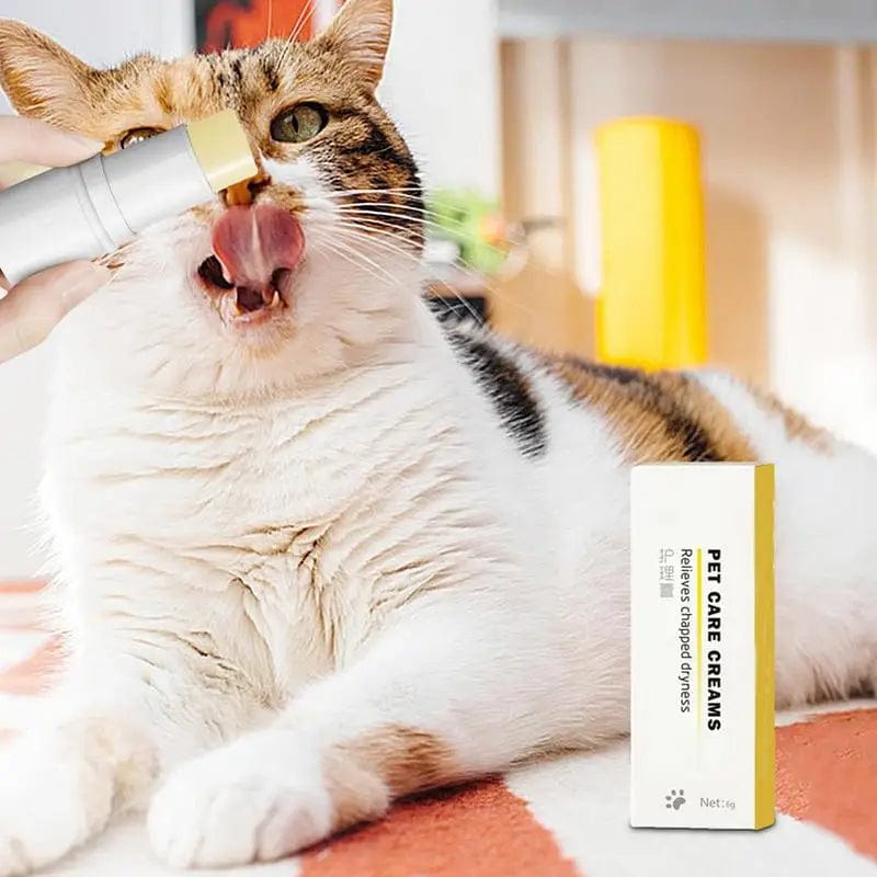 pet ointment with a cat