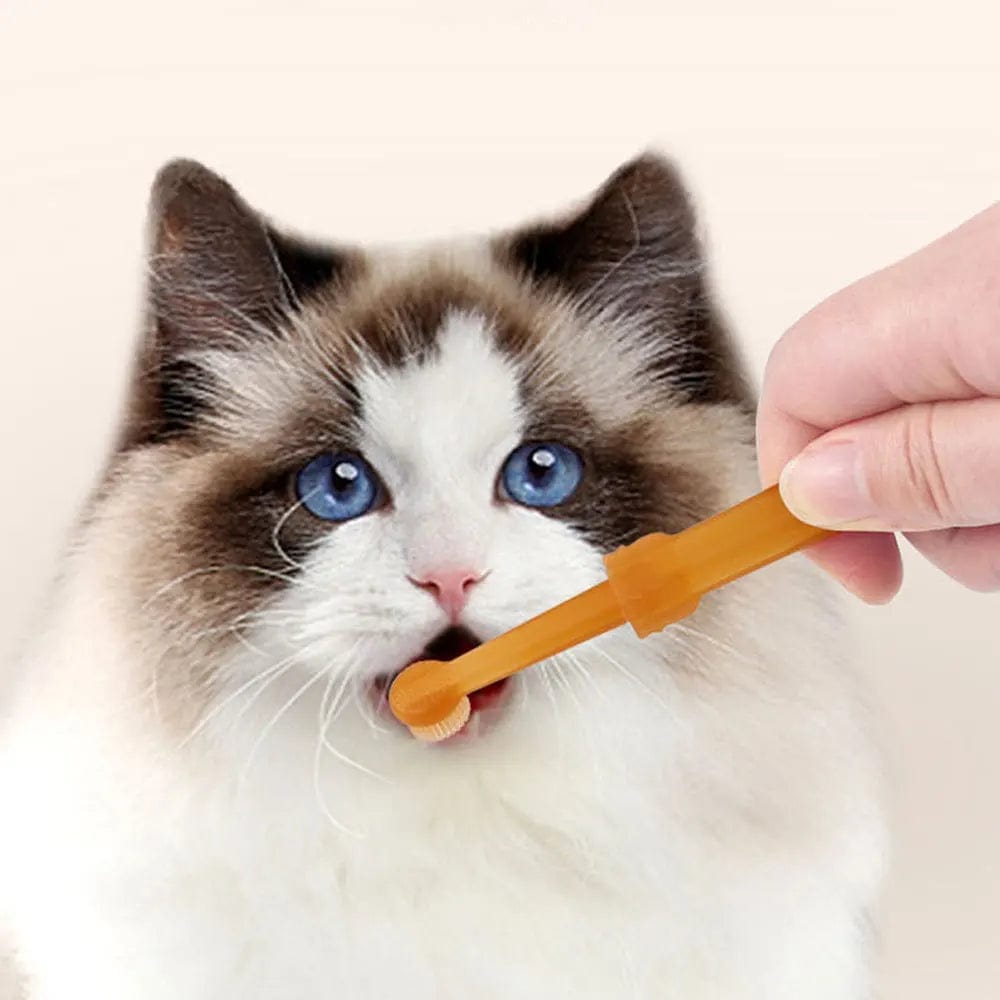 soft bristle cat toothbrush kit for dental care

