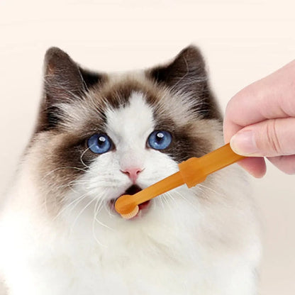 soft bristle cat toothbrush kit for dental care

