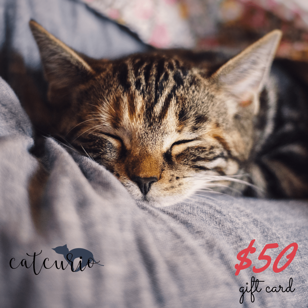 CatCurio gift card for cat accessories