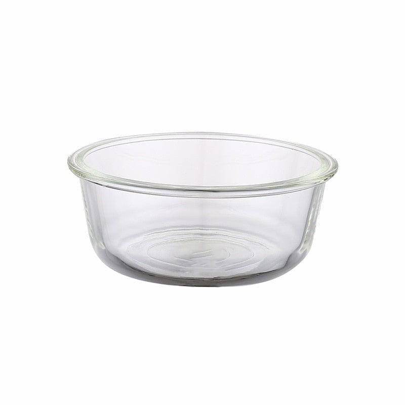 Modern non-slip cat dish in a clear designer style best food bowls for cats