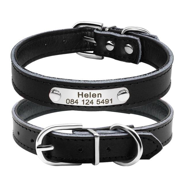 Black Personalized Cat Collar with Silver Name Plate