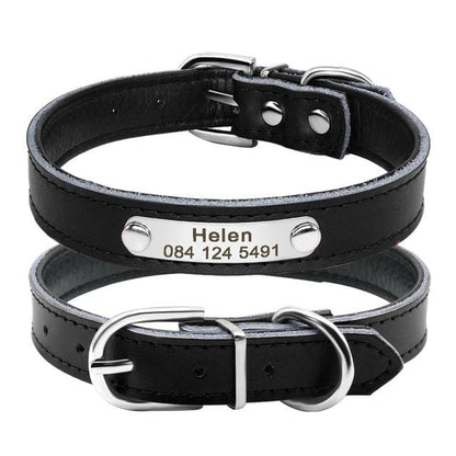 Black Personalized Cat Collar with Silver Name Plate